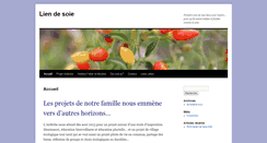 Desktop Screenshot of liendesoie.ch